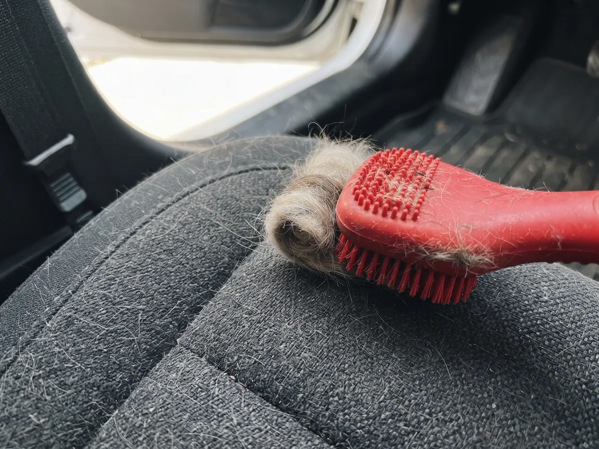 Unser Angebot - Glanznormal Fahrzeugaufbereitung Tierhaare werden mit einer Gummibürste aus dem Sitzbezug gelöst